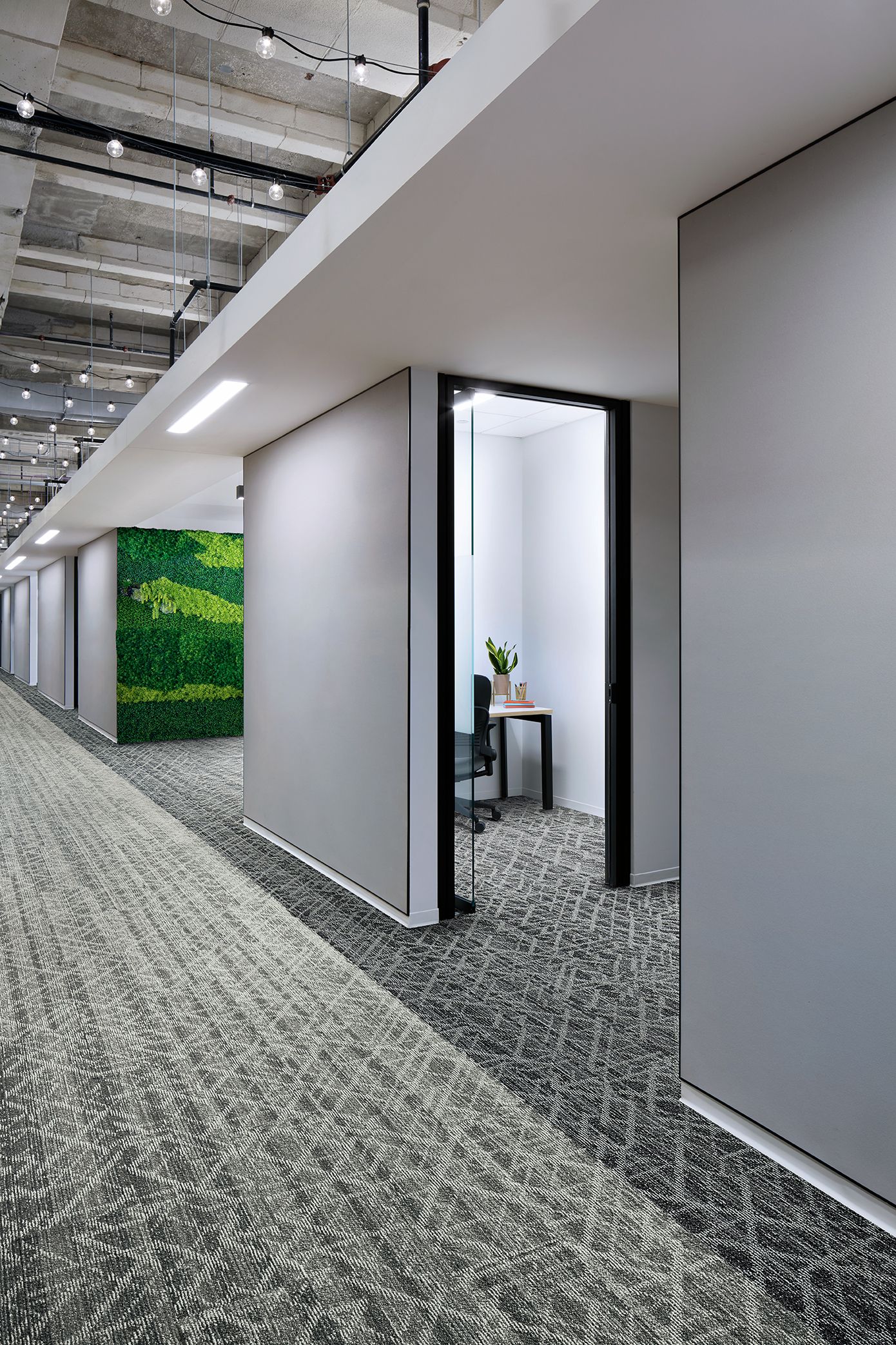 Interface Glisten plank carpet tile in office corridor and small meeting rooms with foliage wall imagen número 1